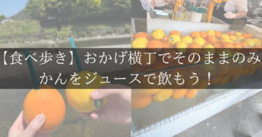 【食べ歩き】おかげ横丁でそのままのみかんをジュースで飲もう！